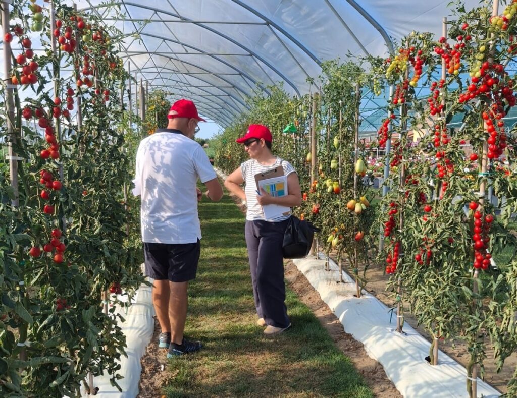Alla scoperta del Gruppo Padana