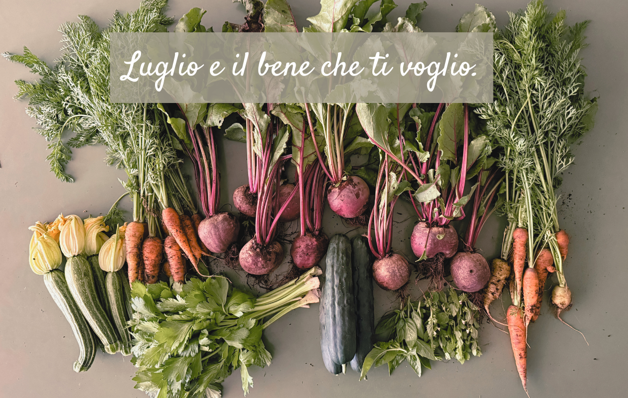 cucina per l'ambiente