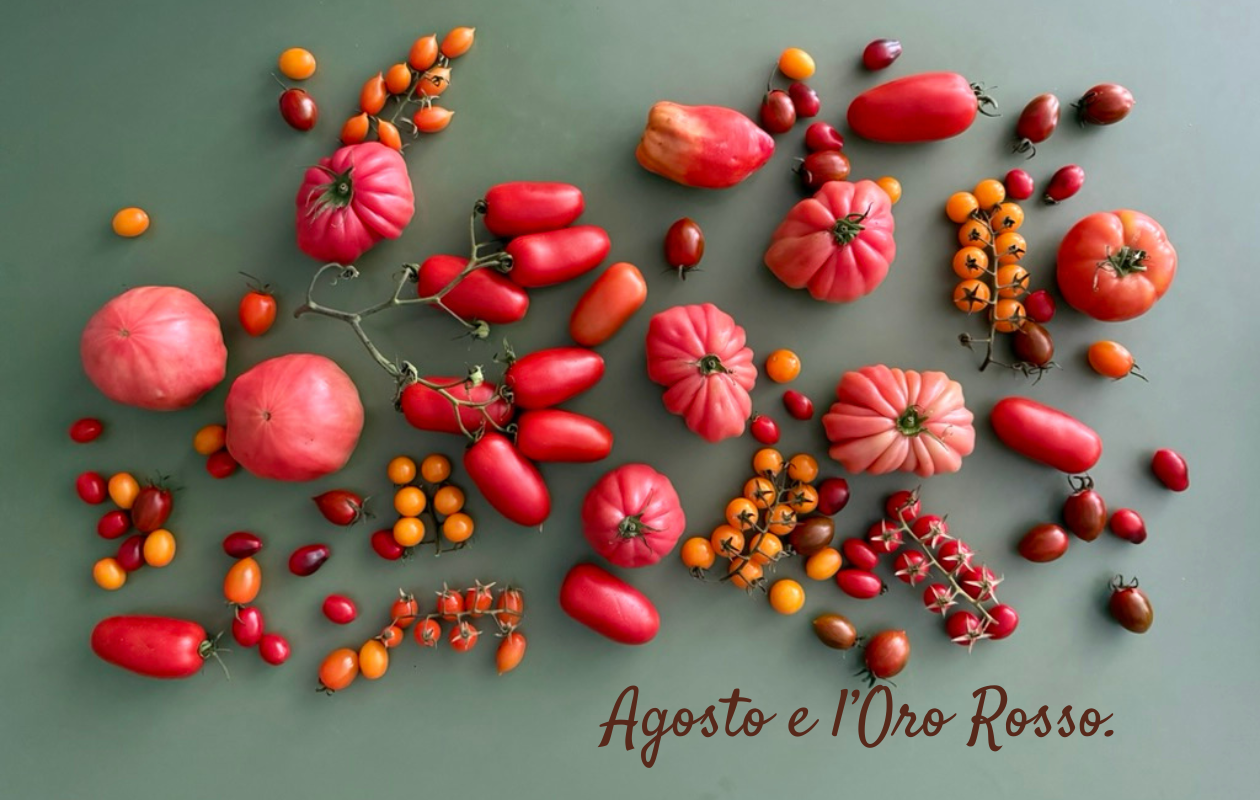 agosto_pomodoro